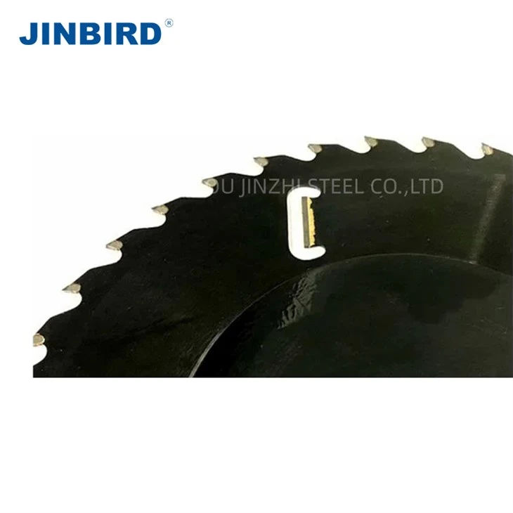 Universal thin kerf multi-rip saw blade